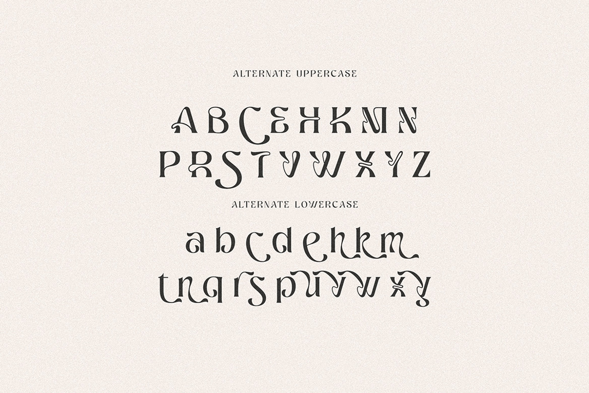 Ragnheidr Unique Serif, a Serif Font by Cruzine (Photo 6 of 8)