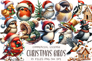 Christmas Birds Watercolor Clipart, an Illustration by OK Design (Thumbnail 1 of 5)