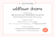 Wildflower Dreams Font & Flowers, a Handwritten Font by Kaya Fonts (Thumbnail 11 of 20)