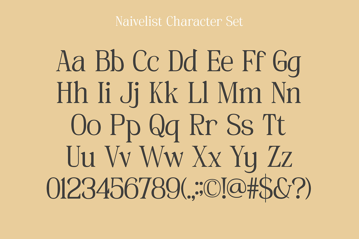 Naivelist, a Serif Font by din-studio.com (Photo 8 of 10)