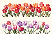 Spring flowers. Floral elements, a Decorative Illustration by irina.vaneeva (Thumbnail 4 of 6)