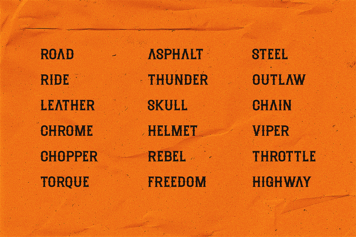 Riders Riots - Vintage Display Font, a Serif Font by Dikas Studio (Photo 5 of 7)