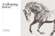 Sketch of a galloping horse, an Animal Illustration by TheMountBirdStudio (Thumbnail 1 of 4)