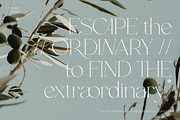 MYROGE elegant & stylish serif, a Serif Font by CarmineType (Thumbnail 4 of 18)