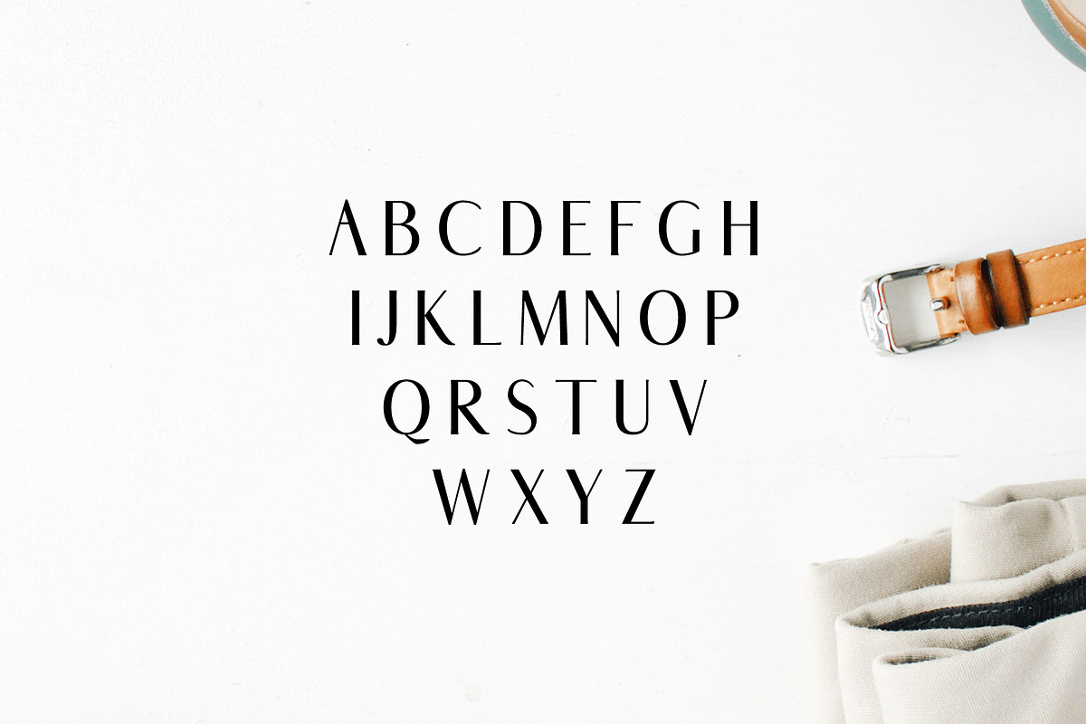 Abiah Sans Serif Font Family Pack preview 2