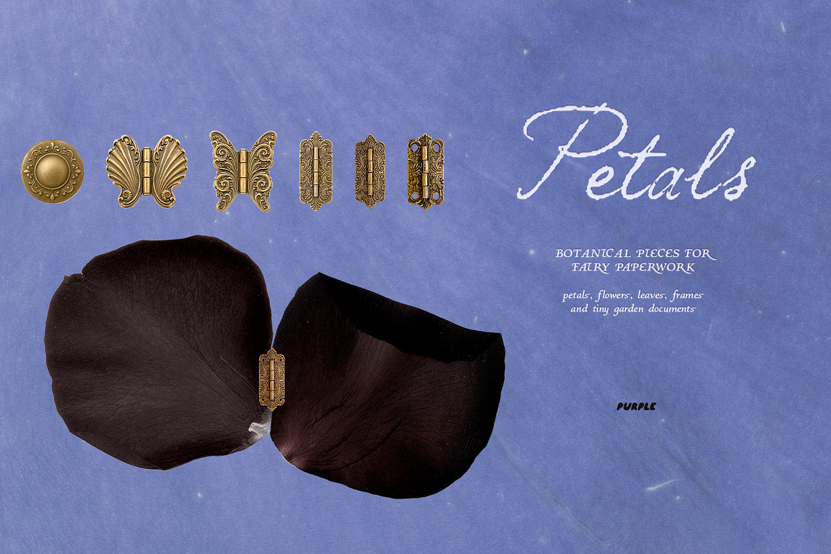 Petals Garden Collage Kit, an Object Graphic by Purple (Photo 14 of 15)