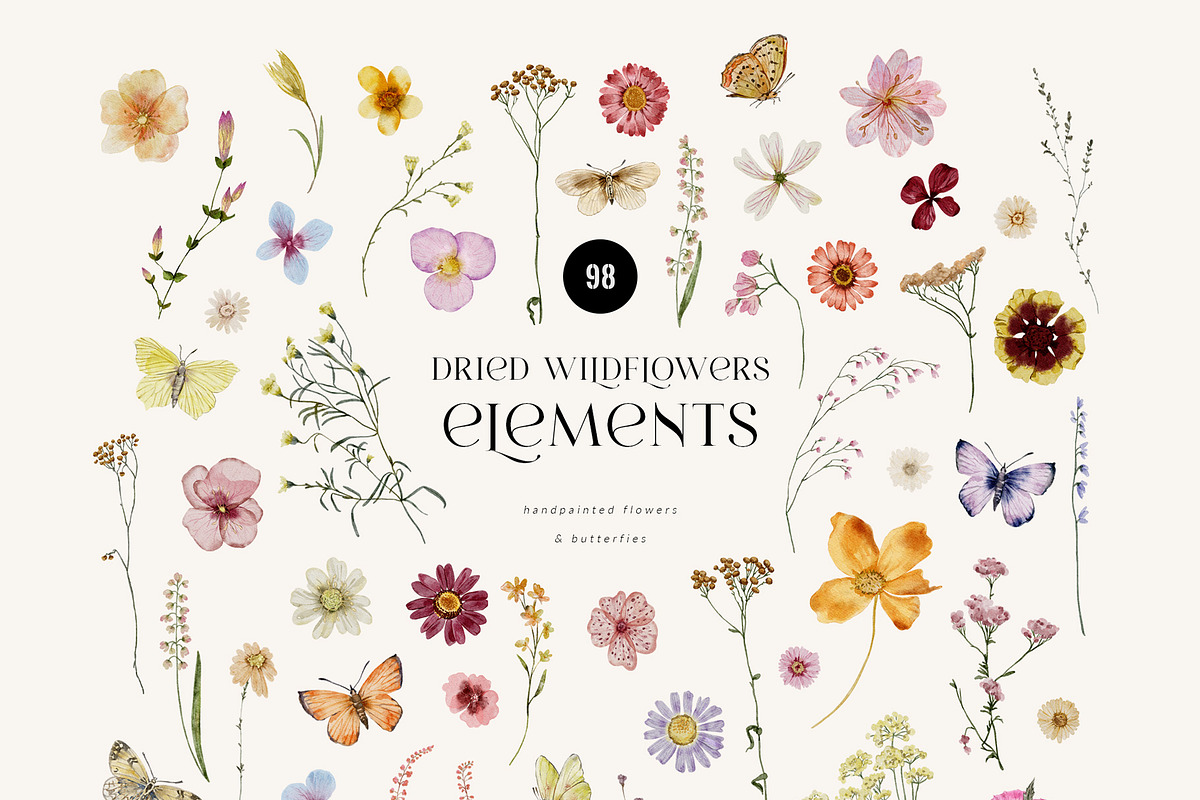 Dried Wildflowers - watercolor flora, an Illustration by SunnyAfternoons (Photo 10 of 15)
