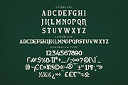 Vestovia Display Serif Font, a Sans Serif Font by Storytype Studio (Thumbnail 13 of 15)