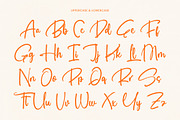 Buntic Regal Bold Handwritten Font, a Script Font by Letterena Studios Script (Thumbnail 12 of 20)