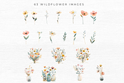 Wildflower Clipart, a Seasonal Illustration by EllyandLima (Thumbnail 7 of 8)