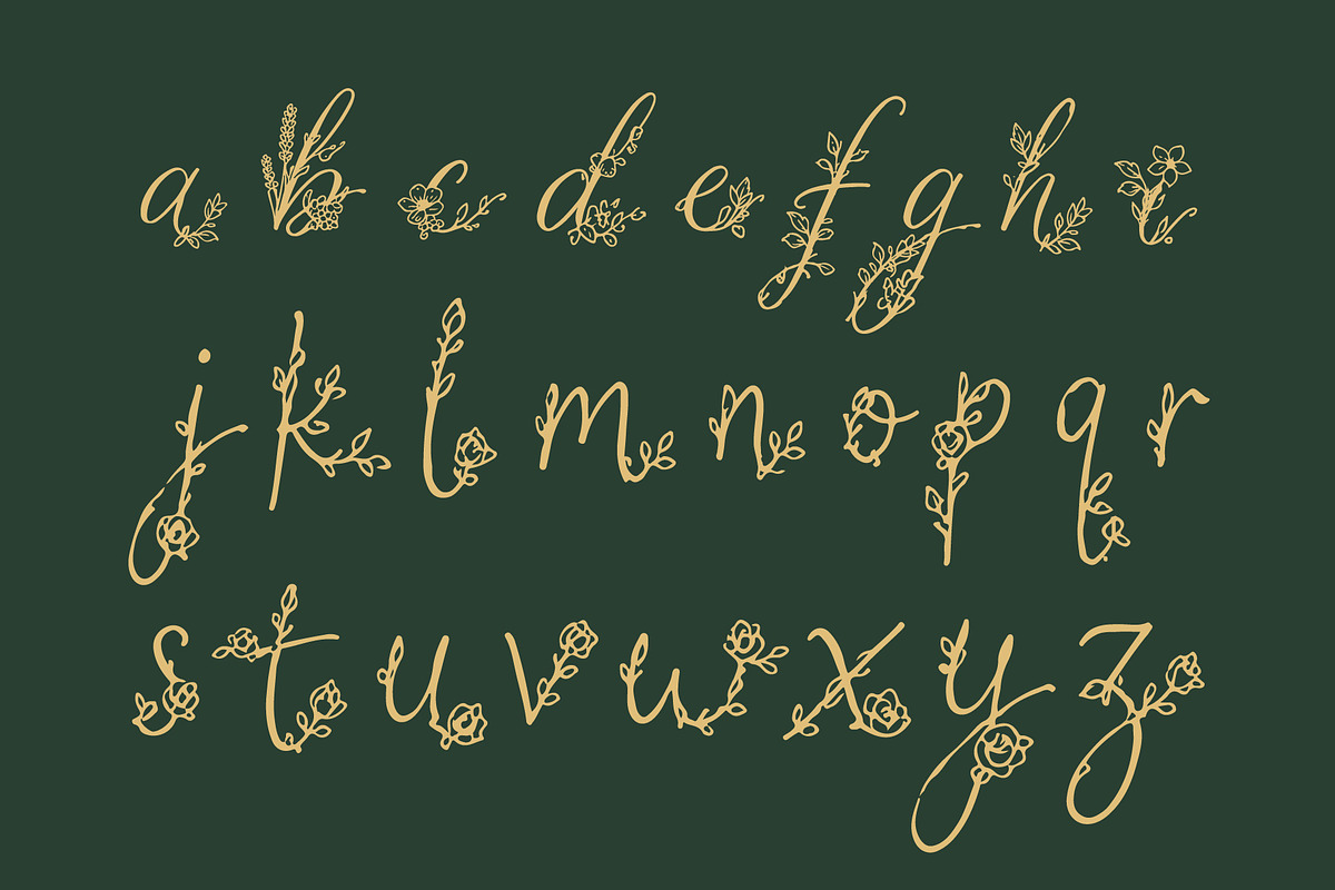 HoneiMoylavi, Delicate Floral Script, a Script Font by HypeWorksCo (Photo 18 of 19)