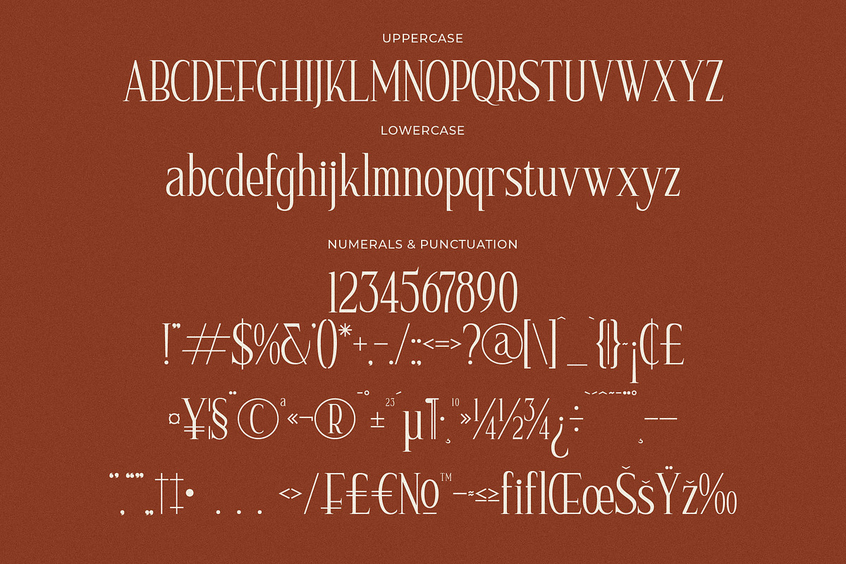 Nerhole Modern Serif Font, a Serif Font by Letterena Studios (Photo 13 of 15)