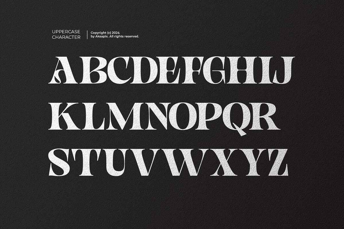 Noorliza - Modern Serif Font, a Serif Font by Aksapix Studio (Photo 8 of 12)