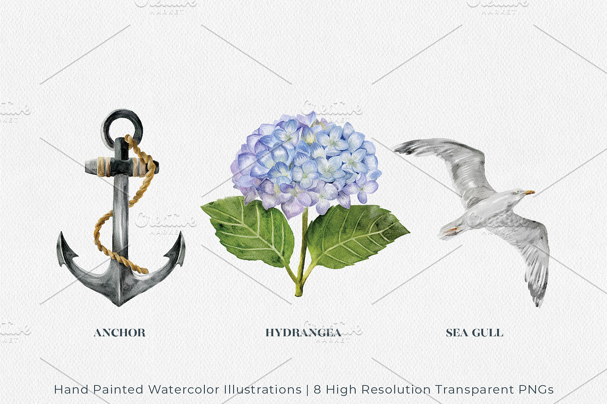Coastal Watercolor Illustrations, an Illustration by Jeanette Pidi Design (Photo 4 of 5)