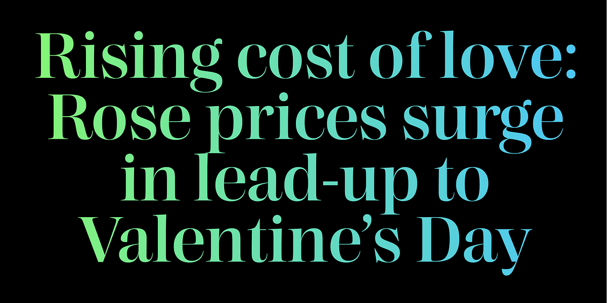 Madigan, a Serif Font by Hoftype (Photo 9 of 13)
