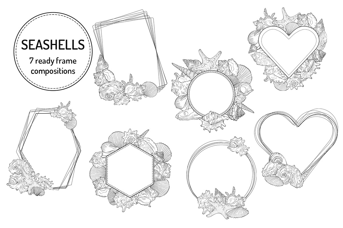 Seashells Vector Collection Line Art, an Animal Illustration by ennona_art (Photo 3 of 6)