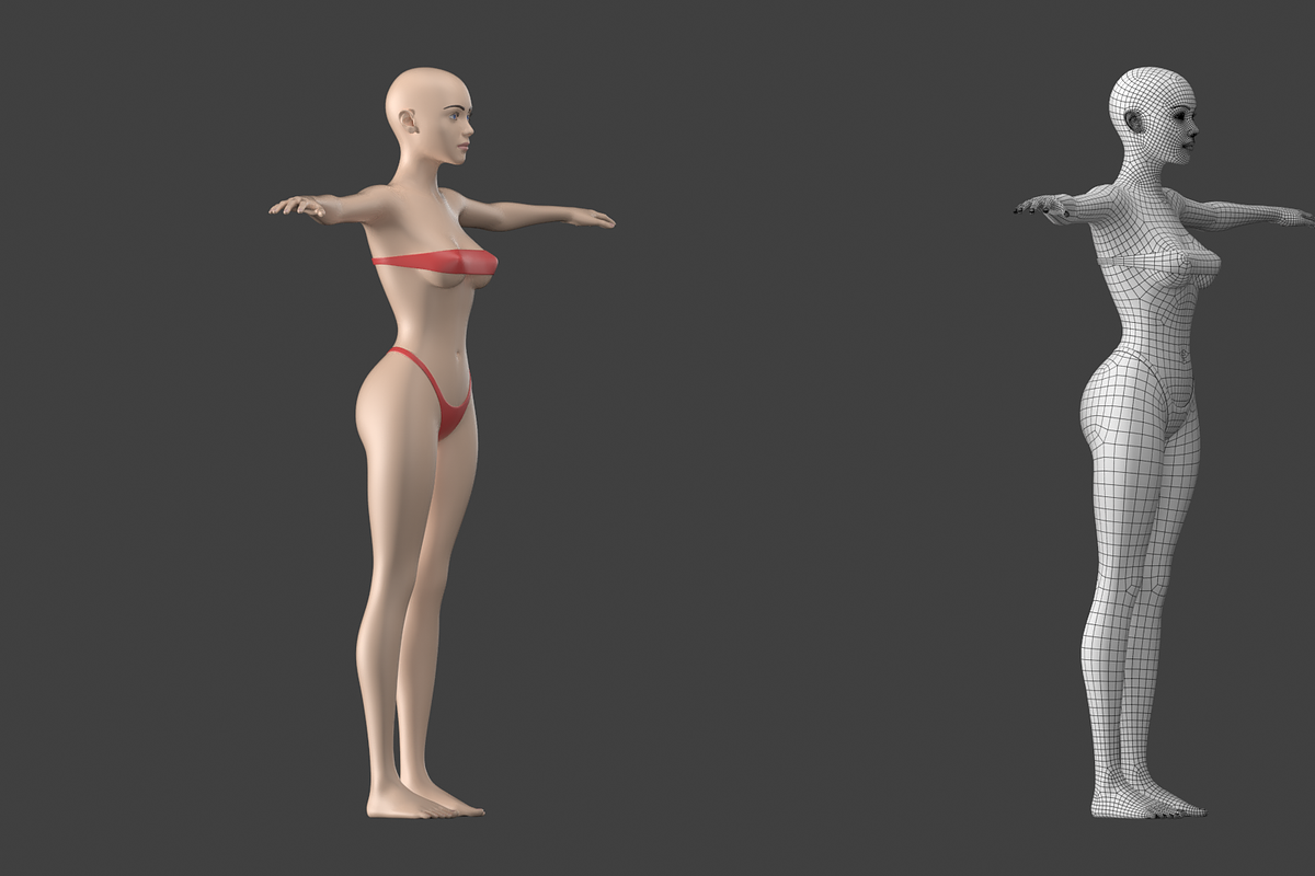 Stylized Female 01 T-Pose Base Mesh, a Characters & Person 3D Model by VK Studio (Photo 4 of 28)