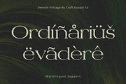Denvile Vintage, a Serif Font by Craft Supply Co. (Thumbnail 7 of 8)