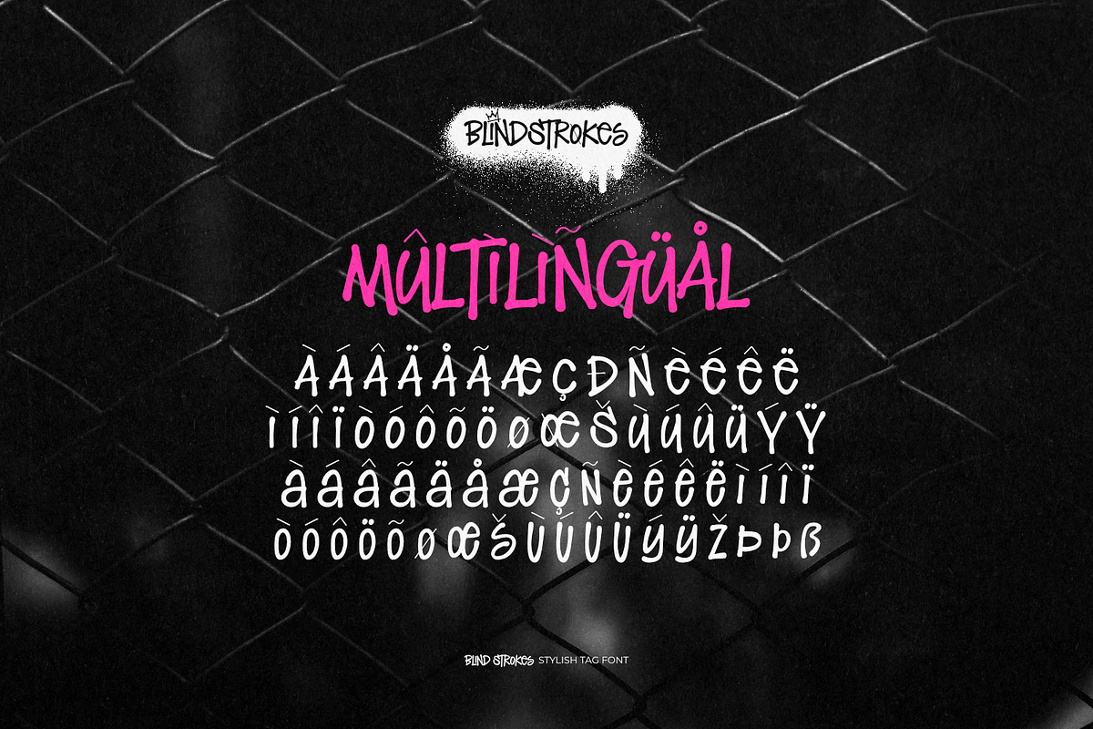 Blind Strokes - Stylish Tag Font, a Handwritten Font by ikiiko (Photo 7 of 7)