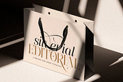 The Eliven Editorial | 7 Font Style, a Serif Font by IM Studio (Thumbnail 6 of 15)