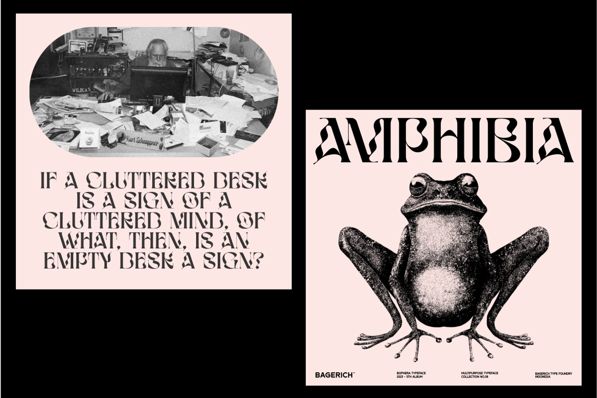 BOPHERA, a Sans Serif Font by Bagerich Type Foundry (Photo 6 of 15)
