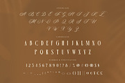 Velysha Grace – Hybrid Serif Script, a Serif Font by Almeera Std (Thumbnail 9 of 10)