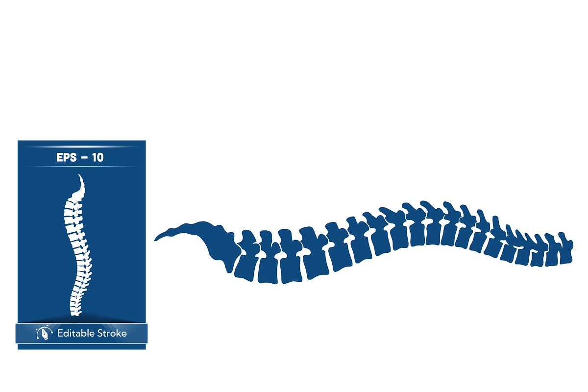 Stylized Spine and Brain Graphic, a Healthcare Illustration by CarWrap design (Photo 2 of 4)