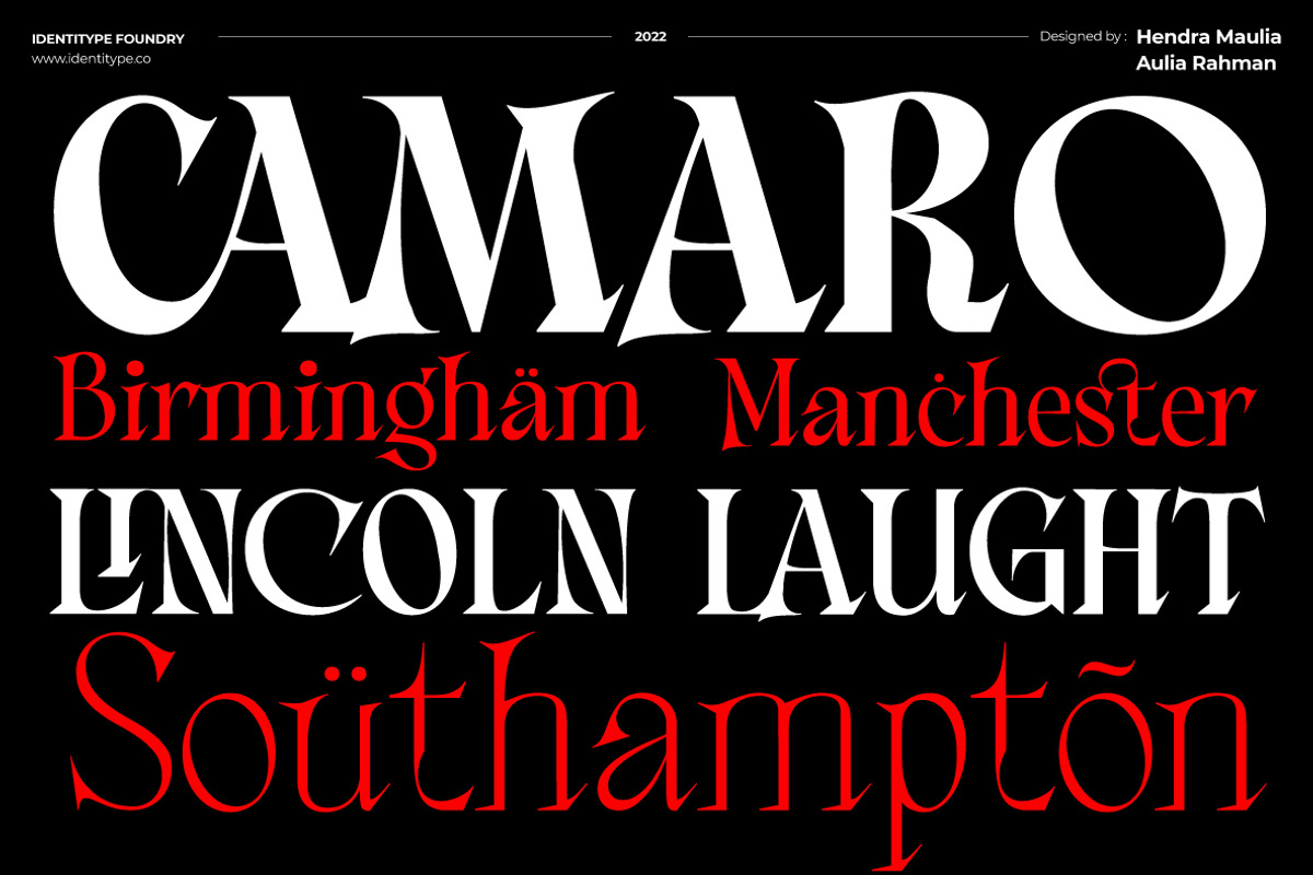 Consta - Premium Serif Font, a Serif Font by Identy Studio (Photo 7 of 18)