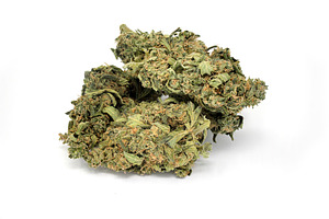 Cannabis marijuana weed close up