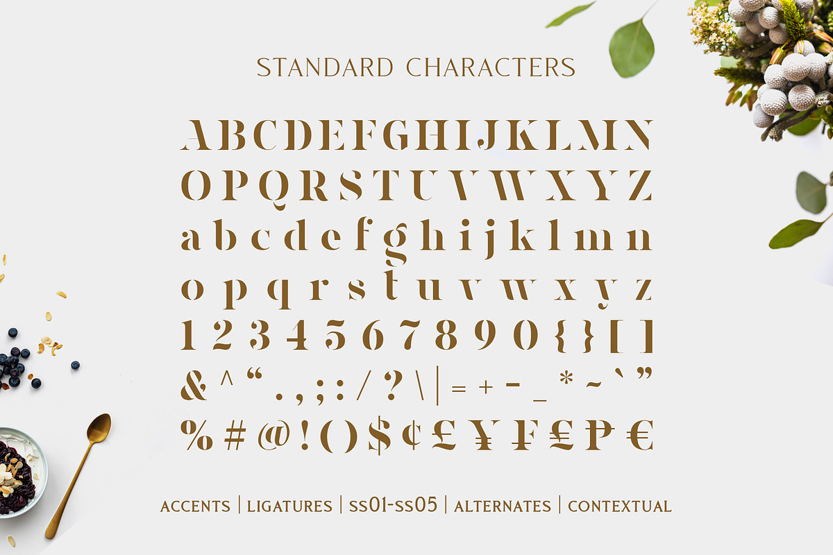 Magnies - Minimal Serif preview 7