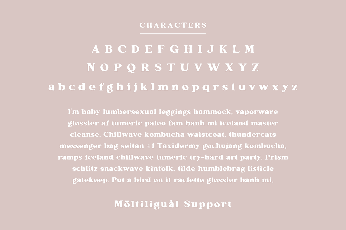 Apple Hill Duo, a Serif Font by Sofia Skoog (Photo 5 of 12)