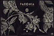 PAEONIA - Seamless Peony Pattern, a Pattern Graphic by C & G (Thumbnail 1 of 7)