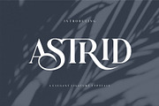 Astrid Elegant Ligature Typeface, a Serif Font by Dylla_studio (Thumbnail 1 of 12)