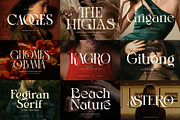 100+ Premium Serif Font Bundle, a Serif Font by Graphicxell (Thumbnail 7 of 12)