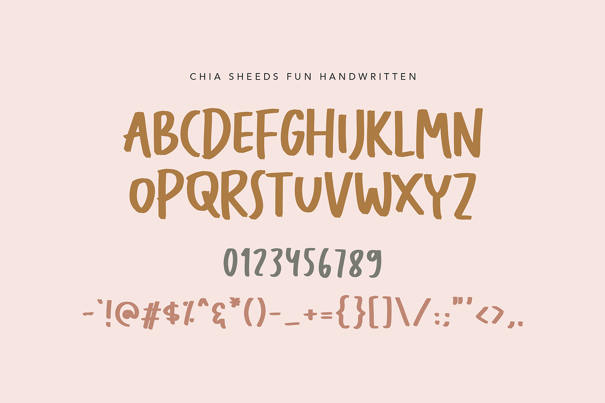 Chia Seeds Fun Handwritten Font, a Handwritten Font by peterdraw (Photo 8 of 8)
