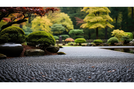 background garden leaf space, a Nature Photo by pikepicture