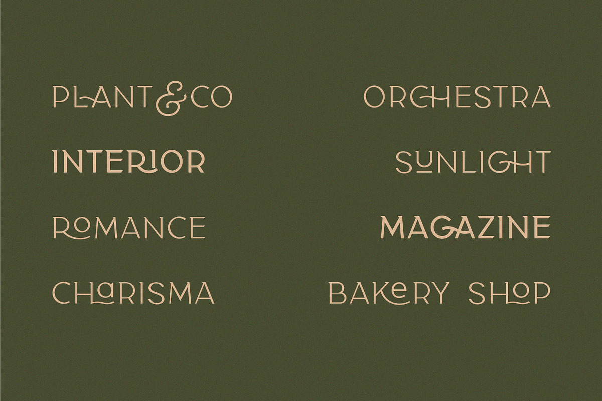 Classy Taylor Typeface, a Serif Font by CCS Type (Photo 23 of 24)