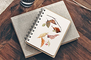 Autumn Time 2. Watercolor collection, a Decorative Illustration by Elena Medvedeva (Thumbnail 13 of 14)
