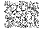 Floral engravings- botanical set, a Decorative Illustration by Moonflora (Thumbnail 2 of 6)