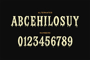 Wick Typeface, a Font by Tugcu Design Co. (Thumbnail 3 of 4)