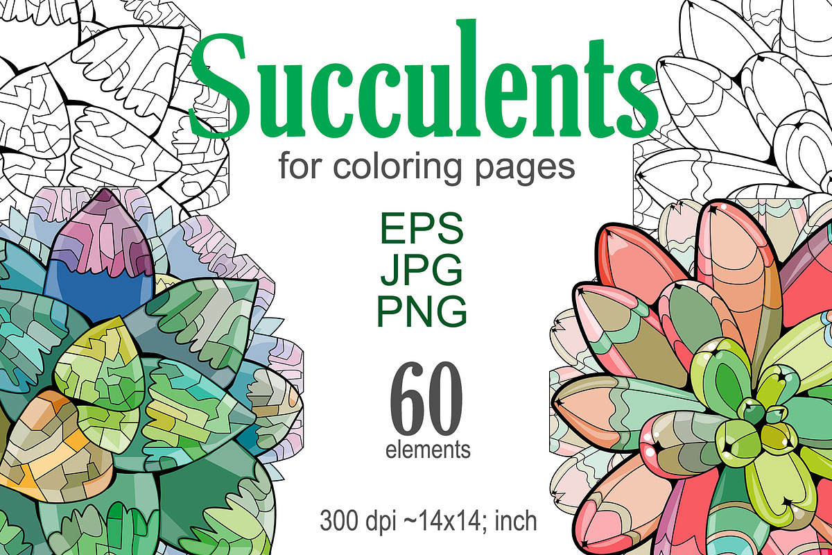 Succulents for coloring pages, a Decorative Illustration by Watercolor fantasy (Photo 1 of 13)