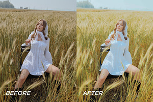 20 Spring LR Presets Video Filters