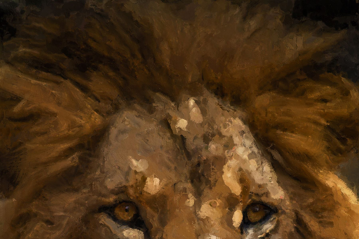 Painted Photoshop Effect, an Action Add-On by Sevenstyles (Photo 24 of 39)