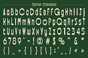Ostrich - Condensed Display Font, a Sans Serif Font by roomspace creative lab (Thumbnail 9 of 9)