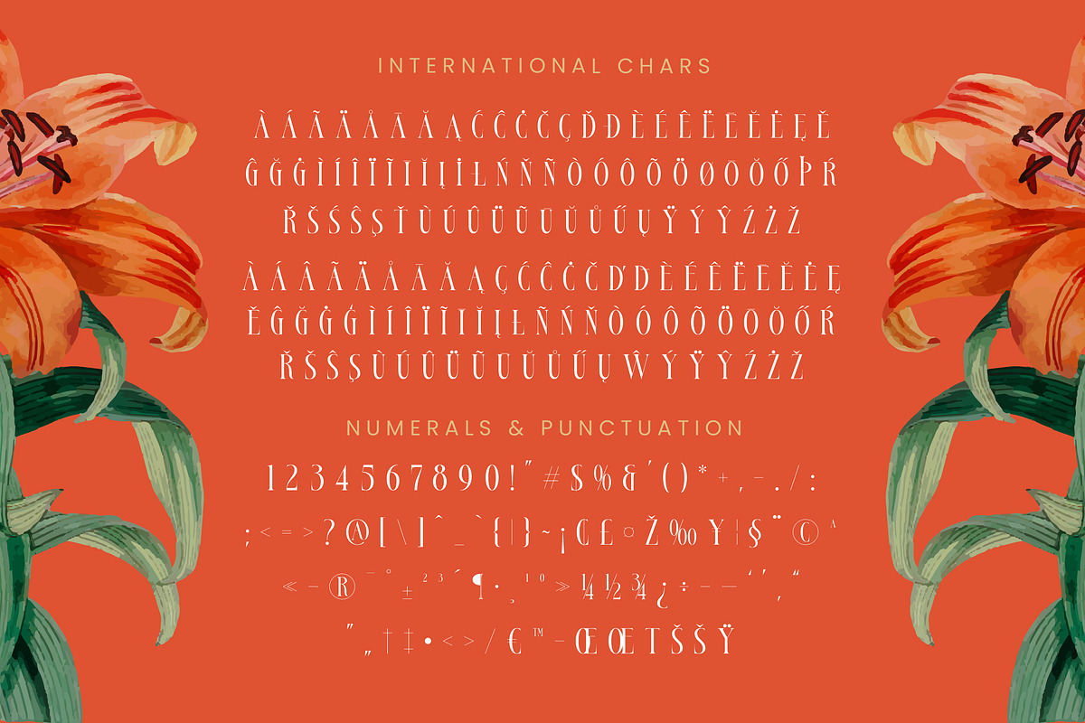 Bestsky Modern Luxury Display Serif, a Serif Font by timelesstype.co (Photo 19 of 20)