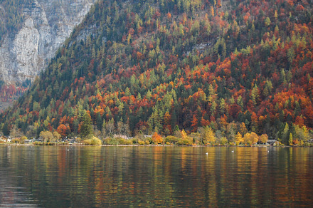 Wood containing autumn, hallstatt, and sky
