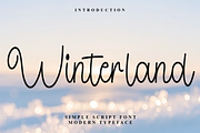 Winterland, a Handwritten Font by FreshTypeINK (Thumbnail 1 of 7)
