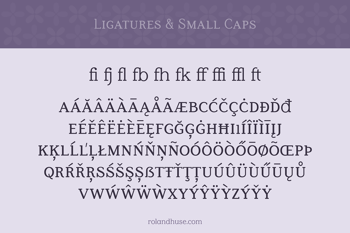 Lilac Block Weight Variable Serif, a Font by Roland Huse Design (Photo 4 of 6)