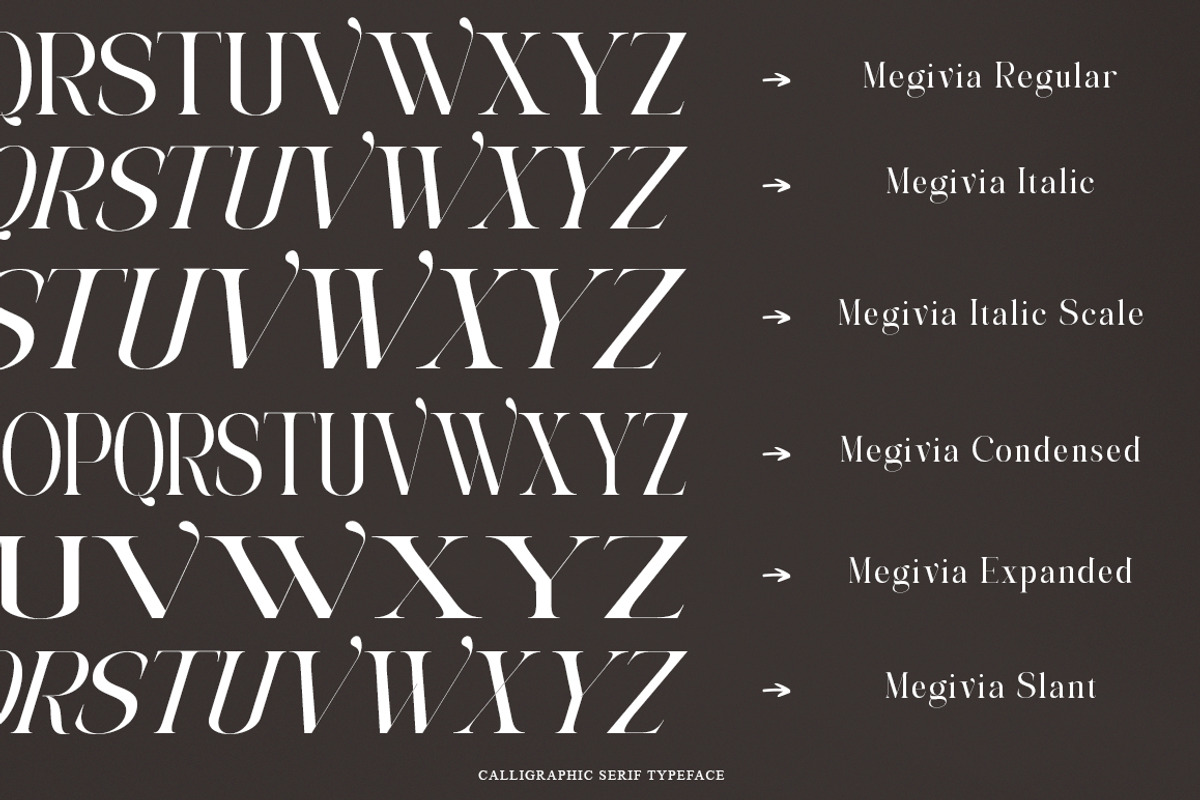 Megivia Calligraphyc Serif | 6 Fonts, a Serif Font by IM Studio (Photo 7 of 12)