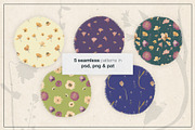 Herbarium Pressed Flowers PNG Set, a Decorative Illustration by dlinnaya (Thumbnail 3 of 6)